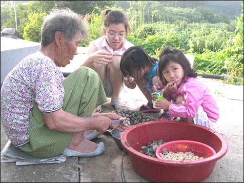 고파도 주생산품인 바지락을 까는 할머니와 신기하게 바라보는 여행객 가족들 